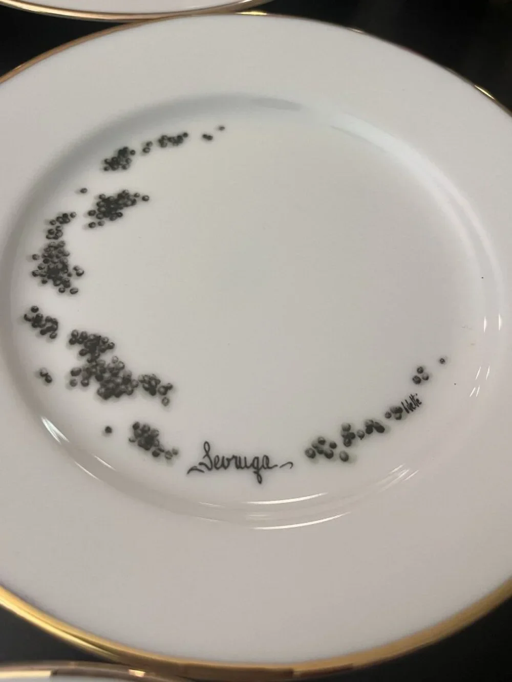 Williams Sonoma Caviar Plates 6-1/2